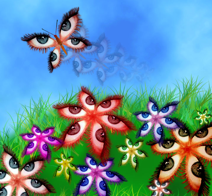 Eye butterfly
---------
 (  ,      )