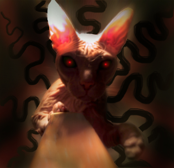   
---------
 (  ,      )