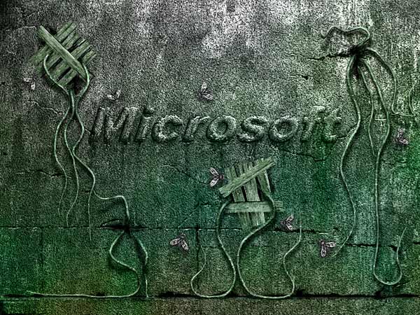 Microsoft  .
---------
 (  ,      )