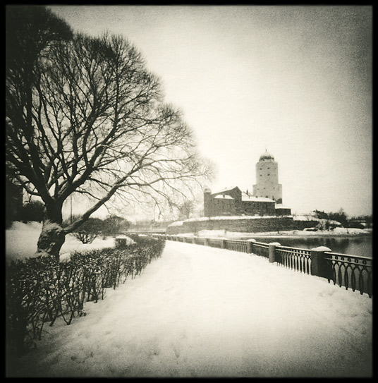 Vyborg. Tree & castle
---------
 (  ,      )