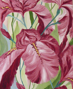 Pink iris
---------
 (  ,      )