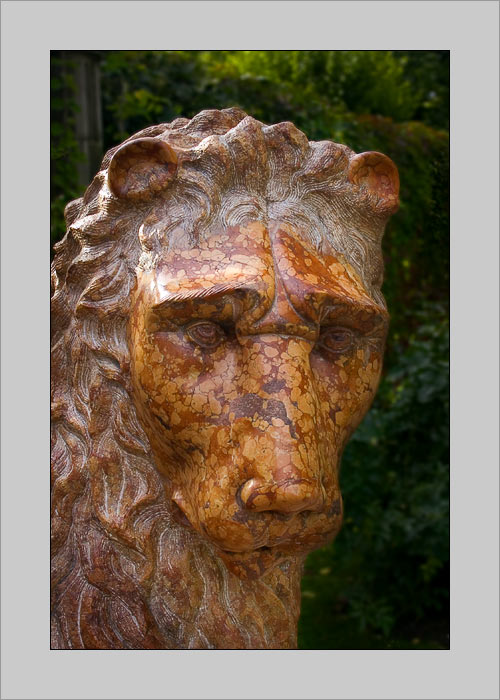 melancholy lion
---------
 (  ,      )