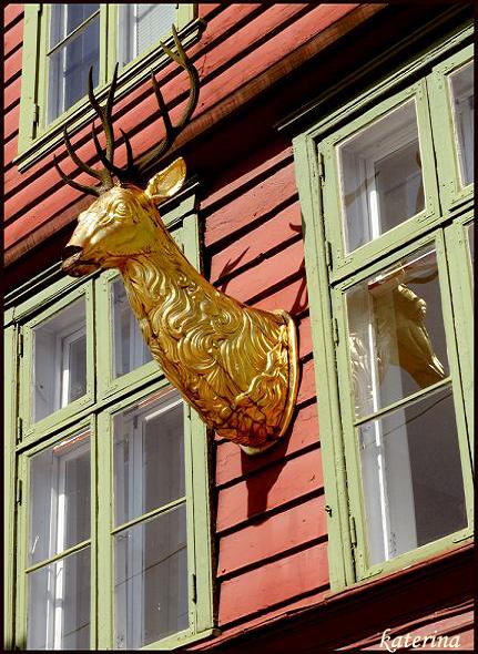 Bryggen, Bergen
---------
 (  ,      )