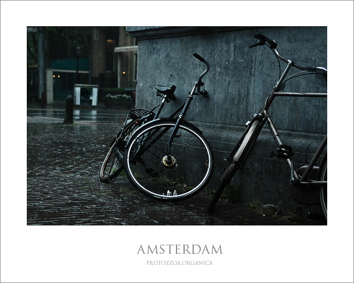 Amsterdam
---------
 (  ,      )