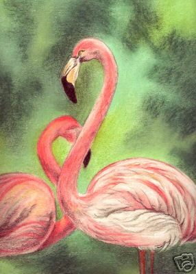 Flamingo
---------
 (  ,      )