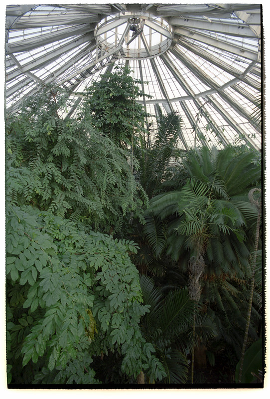 Palmehuset. Botanisk Have
---------
 (  ,      )