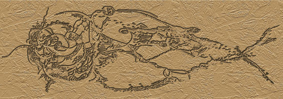  . Fossilized fish.
---------
 (  ,      )