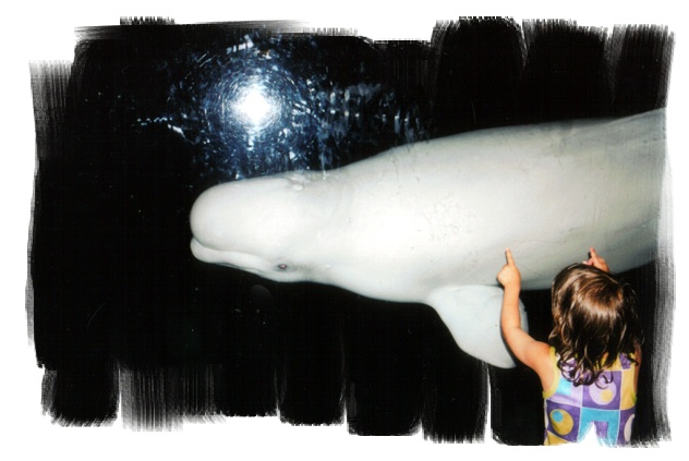 "Baby Beluga in the deep blue sea"
---------
 (  ,      )